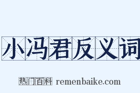 小冯君反义词是什么意思的图片